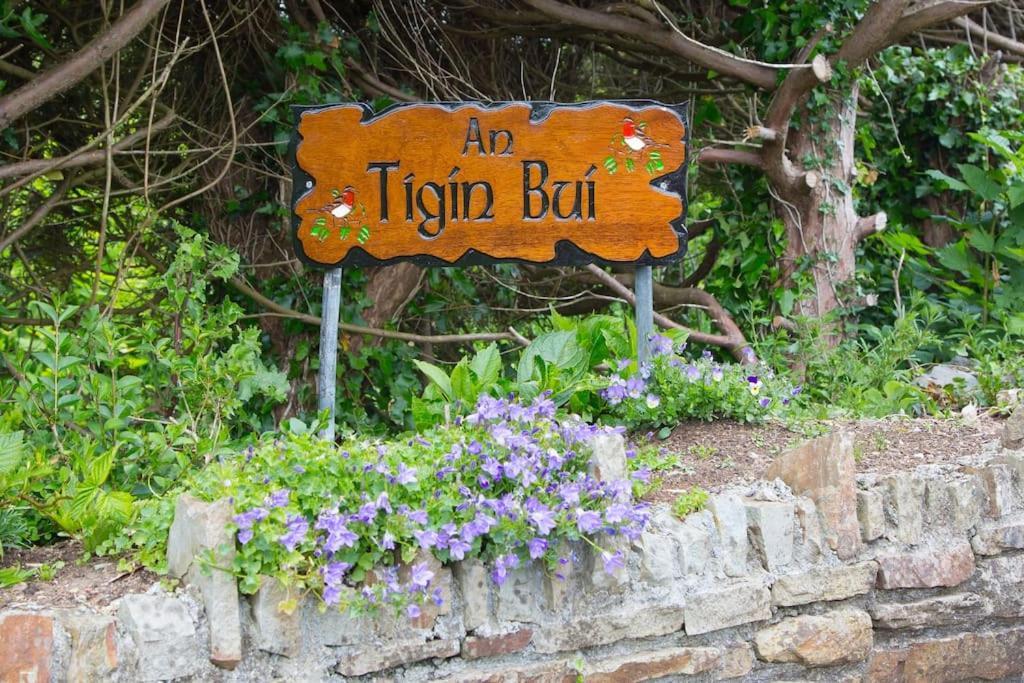 An Tigin Bui Villa Glanbannoo Upper Екстериор снимка